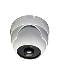 Fish-Eye Camera Security Dome