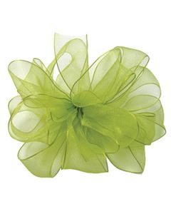Lime, Wired Encore Ribbon