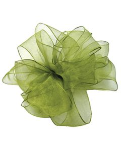 Basil, Wired Encore Ribbon