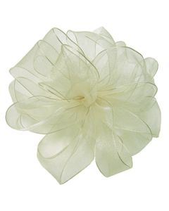 Ivory, Wired Encore Ribbon