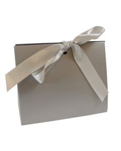 Chrome Purse Totes, 4.5" x 2" x 3.75"