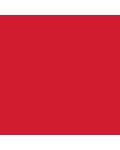 Red, Large Patch Handle Plastic Merchandise Bags