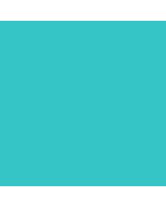 Teal, Large Patch Handle Plastic Merchandise Bags