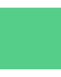 Solid Color Gift Wrap, Aruba
