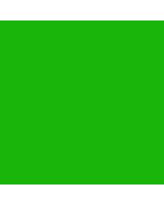 Solid Color Gift Wrap, Limelight