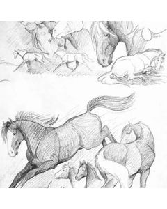 Western & English Gift Wrap, Sketchbook Horse