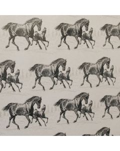 Western & English Gift Wrap, Horse and Foal