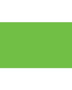 Green Fluorescent, Blank Sign Cards