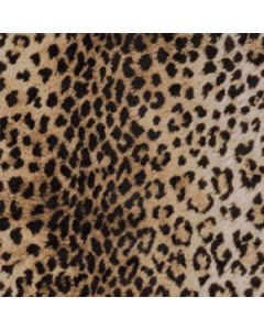 Animal Print Gift Wrap, Leopard Print Linework
