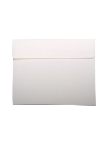 Gift Card Envelope - 314E1001