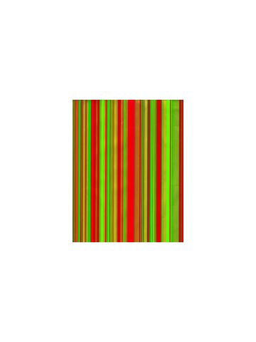 Red/Green Sidney, Masculine Gift Wrap, 30" x 417'