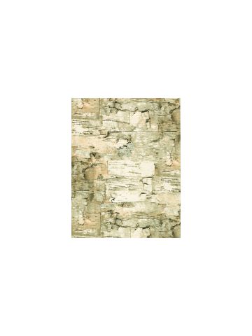 Paper Birch, Masculine Gift Wrap, 30" x 417'