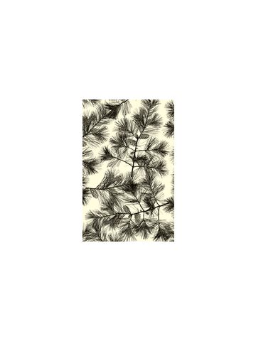 Black Pines , Masculine Gift Wrap, 30" x 417'