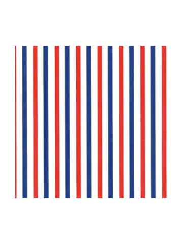 Dots & Stripes Gift Wrap, Red & Blue Stripe, around the roll 
