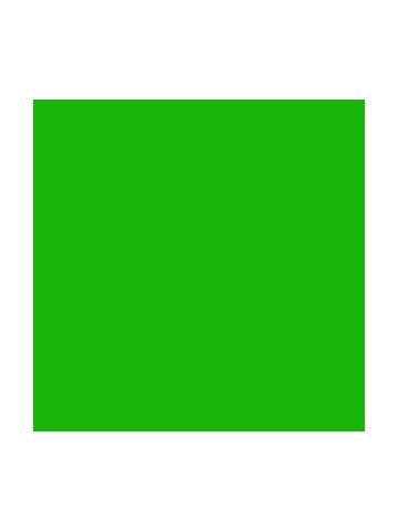 Solid Color Gift Wrap, Limelight 