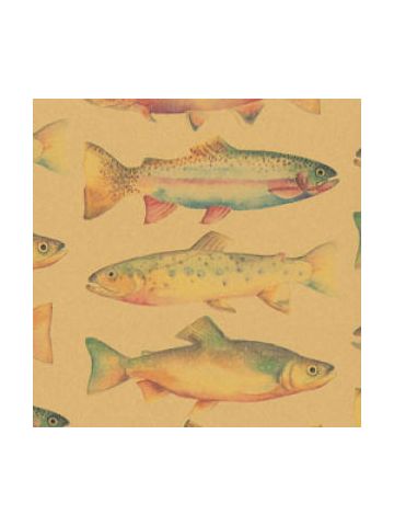 Masculine & Sports Gift Wrap, Rainbow Trout, Process, Kraft 