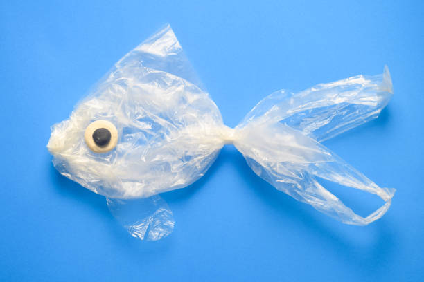 Fish art out of plastic bag